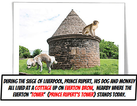 Siege of Liverpool