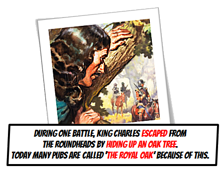 King Charles Oak Tree