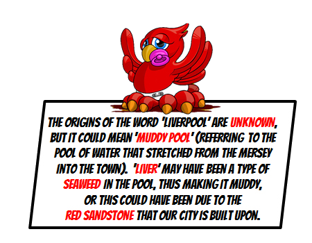 King John 1207 Charter Medieval Liverpool
