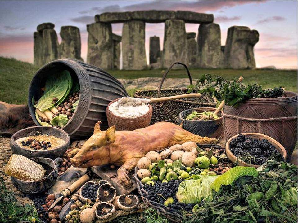 Stone Age Facts KS2