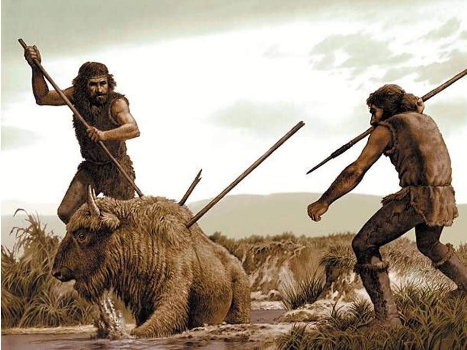 Stone Age Facts KS2