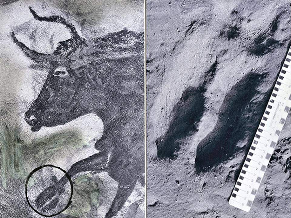 Formby Footprints