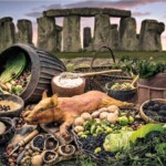 Stone Age Food