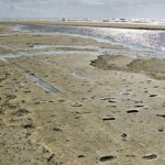 Formby Footprints Stone Age