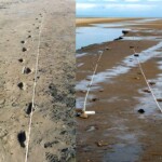 Formby Footprints