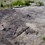 Stone Age Village